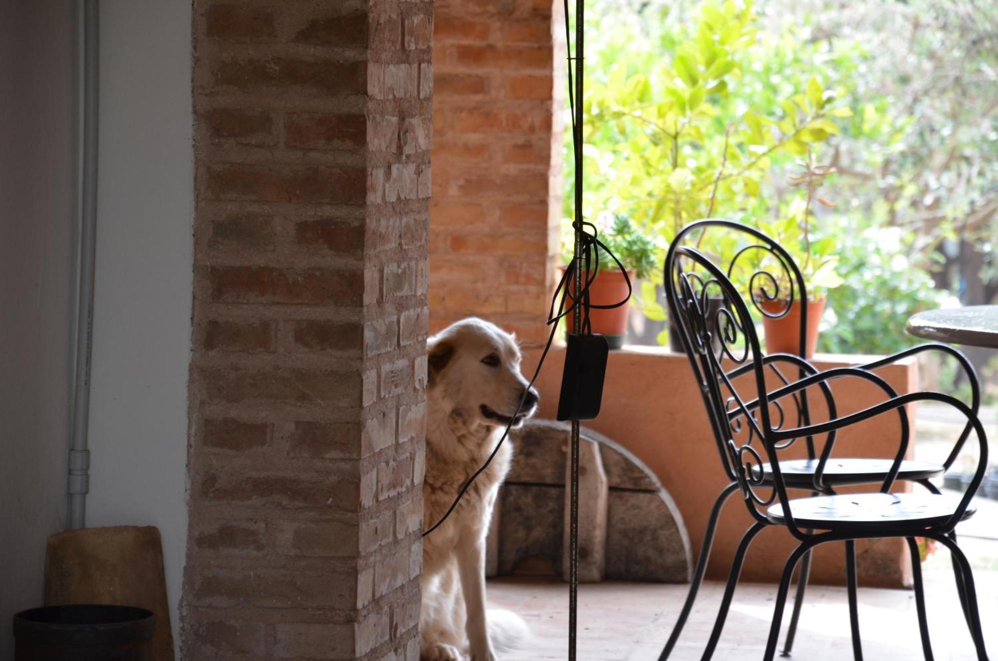 Borgo Piazza Bed & Breakfast กาตันซาโร ห้อง รูปภาพ