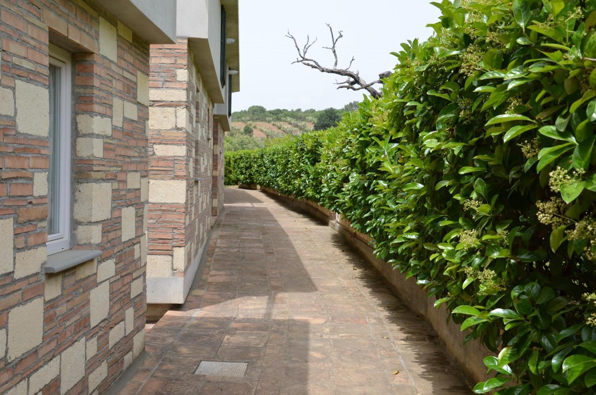 Borgo Piazza Bed & Breakfast กาตันซาโร ห้อง รูปภาพ