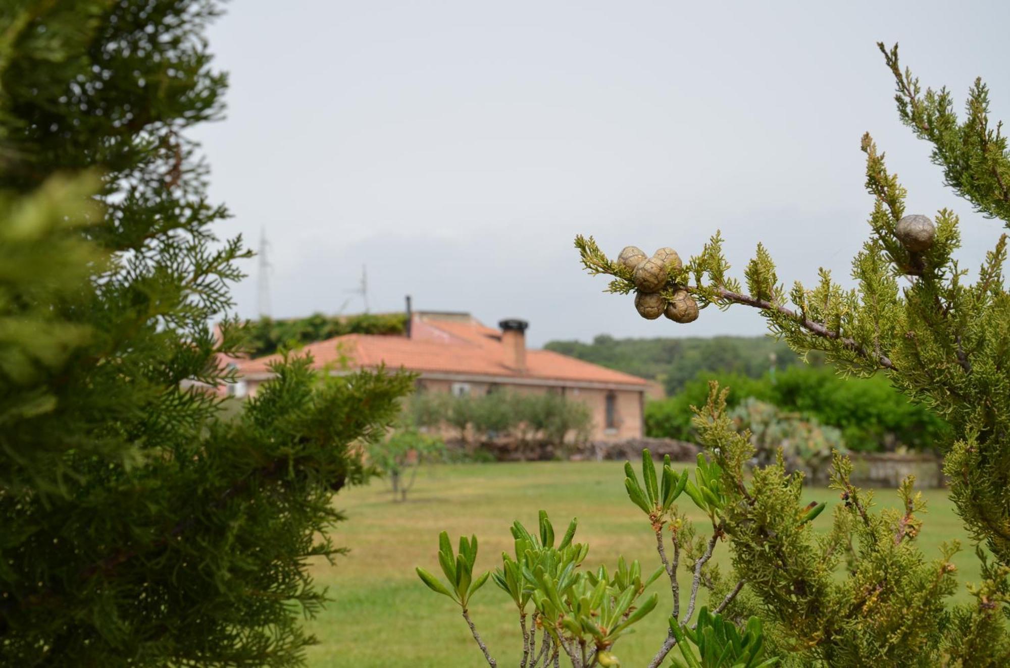 Borgo Piazza Bed & Breakfast กาตันซาโร ห้อง รูปภาพ